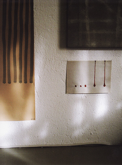 Anne_Peverelli_Travaux_Recents_2006