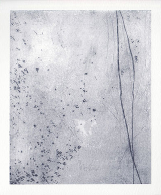 Jean_Nazelle_carton_web_2006